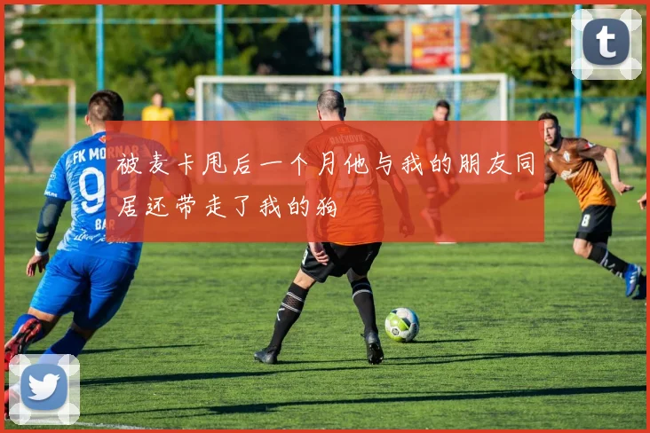被麦卡甩后一个月他与我的朋友同居还带走了我的狗