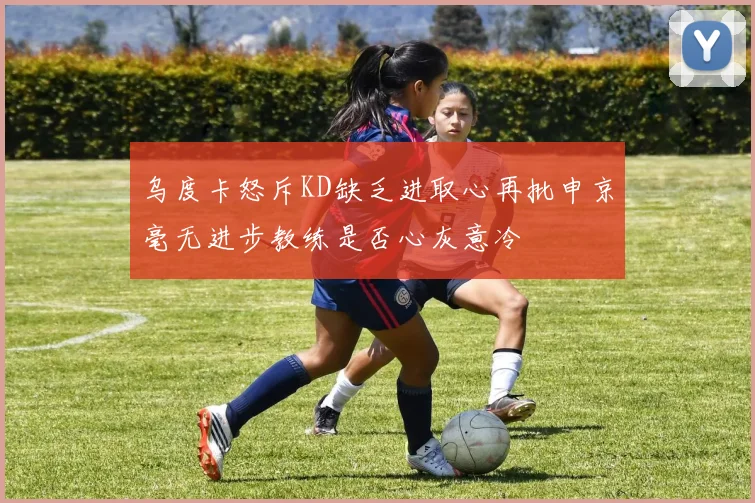 乌度卡怒斥KD缺乏进取心再批申京毫无进步教练是否心灰意冷